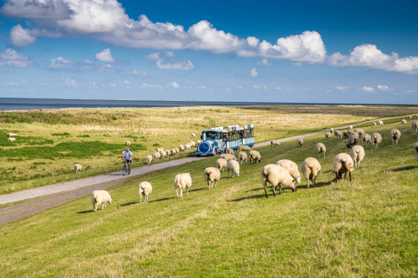 Barrierefreier Urlaub Am Wasser Mit Strandrollstuhl Und Wattmobil ...