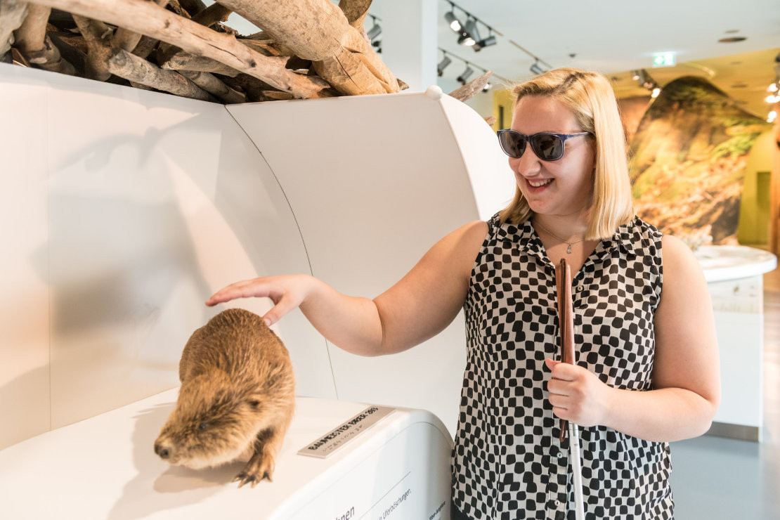 news-2024-barrierfrei-erleben-ag-leichter-reisen-eifel-ausstellung-wildnistraeume-dominik-ketz