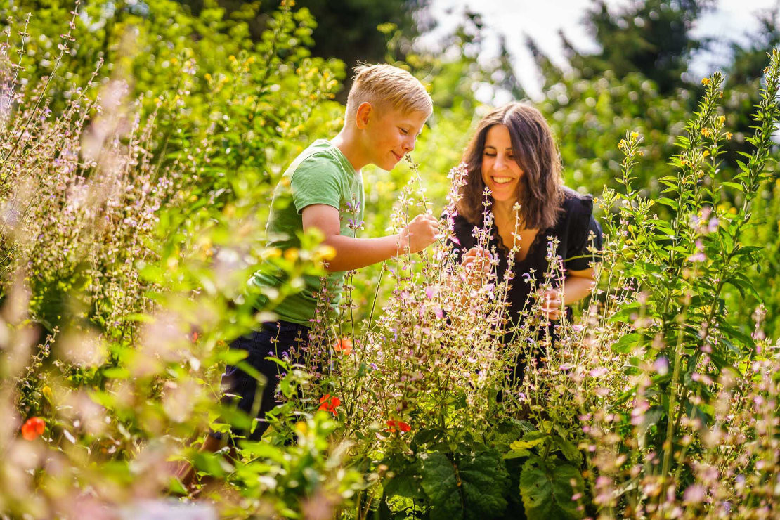 news-2024-barrierfrei-erleben-ag-leichter-reisen-ruppiner-seenland-naturparkhaus-stechling-sinnesgarten-regio-nord-mbh-andre-wirsig