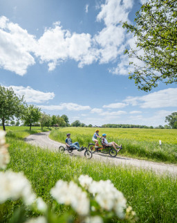 barrierefrei-erleben-2025-naturpark-hohe-mark-handbike-radfahren-stratmann-01609-teaser