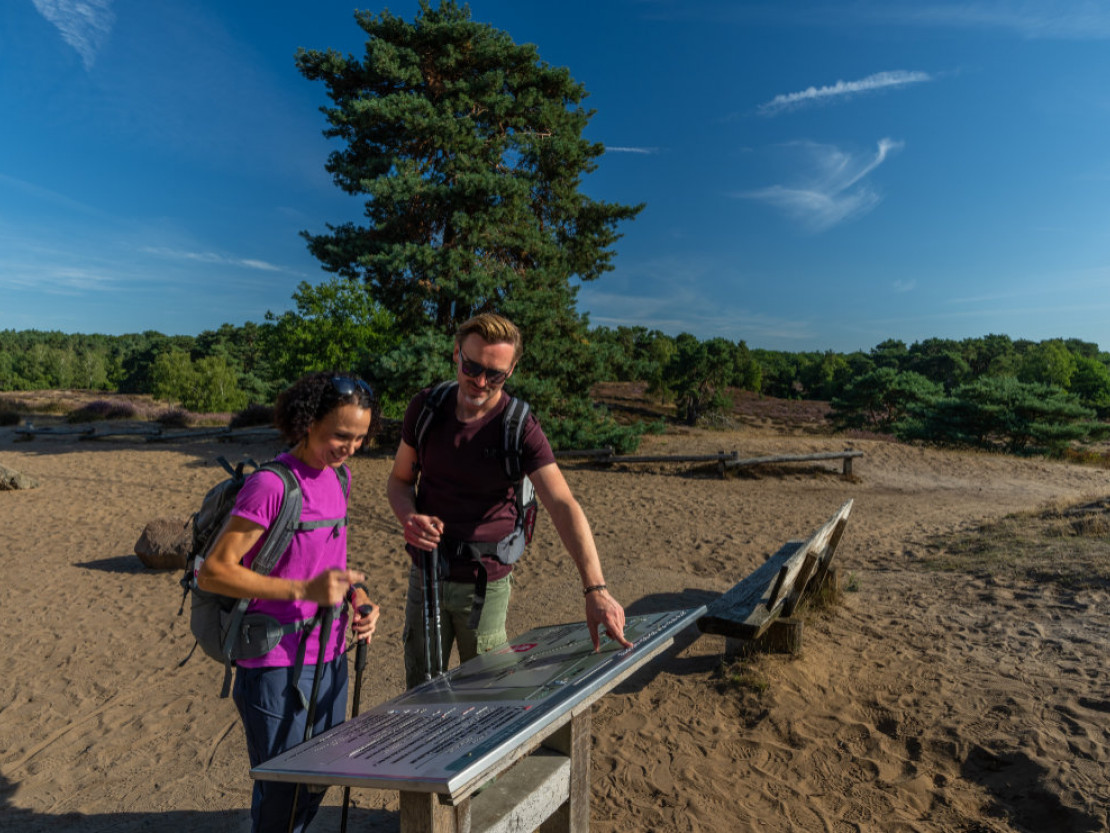 barrierefrei-erleben-2025-naturpark-hohe-mark-westruper-heide-patrick-gawandtka-sa103605