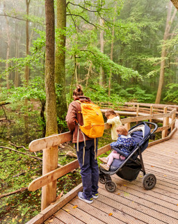 barrierefrei-erleben-2025-welterberegion-wartburg-hainich-waldpromenade-steg-florian-trykowski-teaser