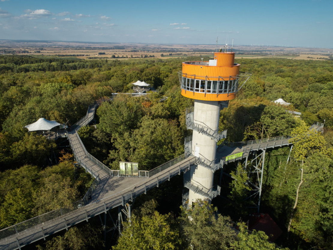 barrierefrei-erleben-2025-welterberegion-wartburg-hainich-baumkronenpfad-tino-sieland