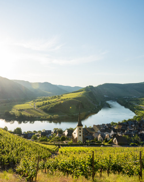 barrierefrei-erleben-2025-rheinland-pfalz-blick-auf-den-bremmer-calmont-dominik-ketz-teaser